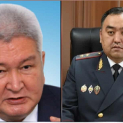 Глава МВД рассказал Феликсу Кулову детали задержания подозреваемого в убийстве в 