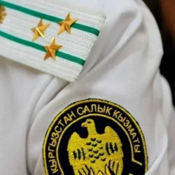 Кыргызстанда салык 