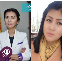 Салянова маркум Камила Дүйшөбаеванын өлүмү боюнча табышмактуу билдирүү жазды