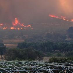 ЮНИСЕФ: Более 60 тыс. детей погибли или получили увечья в результате израильско-палестинского конфликта