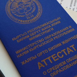После вмешательства Акыйкатчы 17-летняя девушка смогла забрать свои документы из колледжа в Бишкеке и перевестись в Каракол