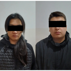 Чүй облусунда алдамчылыкка шектүүлөр кармалды