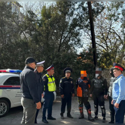 Жайыт жерлерде мотоцикл айдаган жарандарга айып салынды