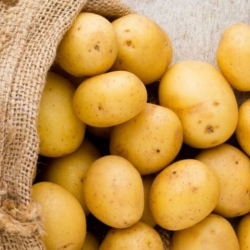 Кытайдан ташылып келе жаткан 25 тонна картошка артка кайтарылды