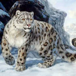 Ак илбирстин логотиби жана колдонуу тартиби бекитилди