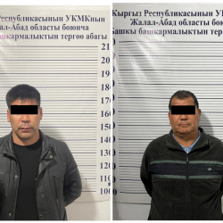 Таш-Көмүрдүн вице-мэри жана Муниципалдык менчик департаментинин директору кармалды