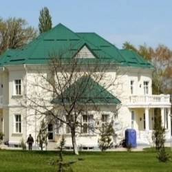 Президенттин жээни Данадил Жапаровдун үйлөнүү тою резиденцияда өттү