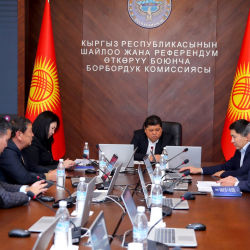 КР БШКсы шайлоо алдындагы үгүт жүргүзүүдө шайлоочулардын арасында акысыз жайылтууга тыюу салынбаган үгүт материалдардын жана товарлардын тизмегин бекитти