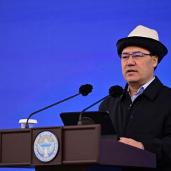 Садыр Жапаров: Кыргыз сому - Борбор Азиядагы эң туруктуу валюта