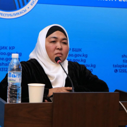 БШК Гулсара Каримованы депутаттыкка талапкер кылып каттоодон баш тартты