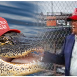 Дүйнөдө миграциялык саясат өзгөрүүдө, Кыргызстан ага даярбы?