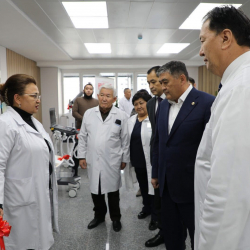 Камчыбек Ташиев Эне жана баланы коргоо улуттук борборуна барды