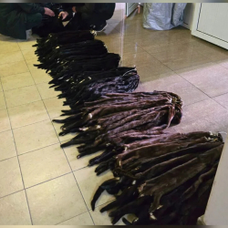 «Ош» аэропортунан Россиядан келген жүргүнчүдөн 451 норка териси табылды