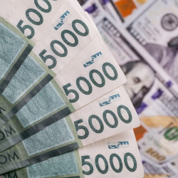 11-ноябрь: Доллардын сомго карата баасы