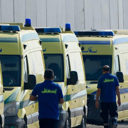 В ДТП с автобусом в Египте пострадали 27 россиян