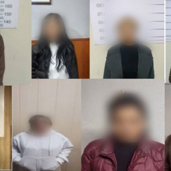 Бишкекте «Притон» рейдинин жүрүшүндө 40тан ашуун «көпөлөк» аныкталды