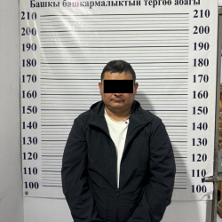 Түркияда «Додик» каймана аттуу УКТнын мүчөсү кармалды