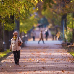 Жылуу болот. 12-ноябрга карата аба ырайы