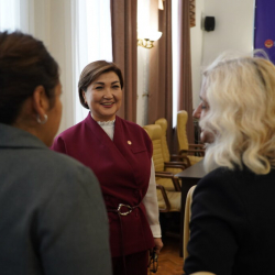 Нургуль Бакирова ЕККУнун Демократиялык институттар жана адам укуктары боюнча бюросунун өкүлдөрү менен жолугушту