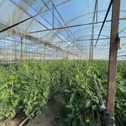 Бакыт Мамытканов, айыл-чарба боюнча эксперт: «Жаңы технологиялар менен сактай турган сактоочу жайларыбыз жок болсо, эч өнүгө албайбыз»