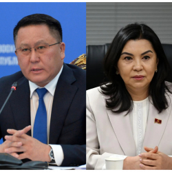 БШК талапкерлер Зулушев менен Садырбаевага айып салды