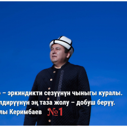 Мураталы Керимбаев, талапкер: Барагы ачылбаган китепти сындаган одоно көрүнүш