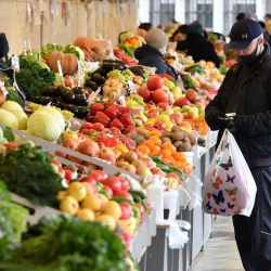 Бишкекте июнь айына чейин айыл чарба жарманкеси өткөрүлүп турат