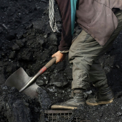 Бишкекте аз камсыз үй-бүлөлөргө көмүр алууга 8 млн сомдон ашык каражат бөлүндү