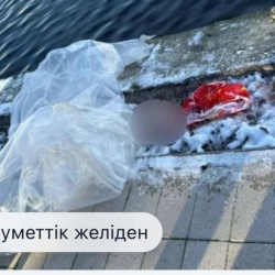 Баштыктагы баланын башы көлмөдөн табылды