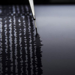 Землетрясение магнитудой 5,5 произошло в Бангладеш