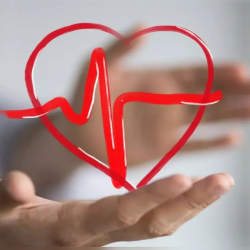 Национальную программу «Саламат жүрөк» утвердил президент