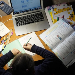 Бишкекте мектептер менен ЖОЖдор онлайн окууга өтөт