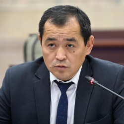 Министрлик Чечейбаевдин дарыканаларды азайтуу тууралуу айтканына түшүндүрмө берди