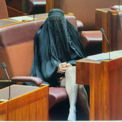 Полин Хэнсон надела паранджу в зале заседаний Сената, повторив свой предыдущий трюк