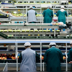 В КР планируют создать Национальный фонд индустриального развития и цифровую систему отраслей