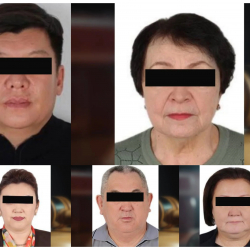 Айсулуунун өлүмүнө шектүүнүн буга чейинки жазасын жеңилдеткен соттор кармалды