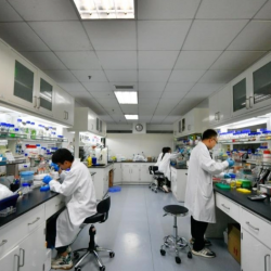 Китай разработал первый в мире способ доставки инсулина через кожу