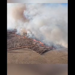 ВИДЕО - Токмоктогу ири өрттү өчүрүүгө 117 куткаруучу тартылды