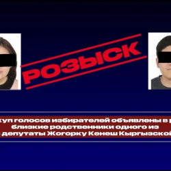 Добуш сатып алуу: Талапкердин кызы менен жээнине издөө жарыяланды