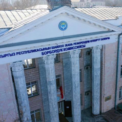 БШК дагы 18 эл аралык байкоочуну каттады