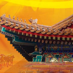 В январе-октябре инвестиции Китая в страны-участницы 