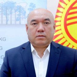 БШКнын төрагасы Атажановду шайлоо жарышынан четтетүүнү сунуштады