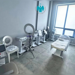 Бишкекте мыйзамсыз иштеген жеке медклиникалар аныкталды