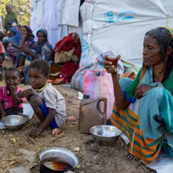 Судан калкынын болжол менен 45 пайызы ачарчылыктын алдында турат