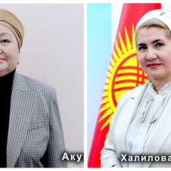 БШК: Эки талапкер шайлоого катышуудан баш тартты