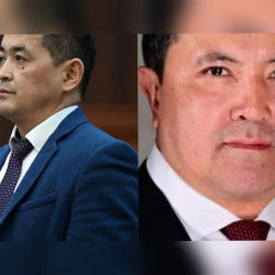 Чечейбаев кызматтан алынып, ордуна Досмамбетов дайындалды