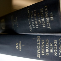 Оксфордский словарь выбрал слово 2025 года