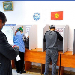 116 миңге жакын жаран аралыктан добуш берди