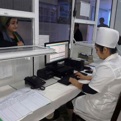 Сасык тумоо толкуну: Бишкектеги клиникалар саат 20:00гө чейин иштеп жатат