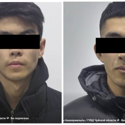 Чүйдө мал уурулукка шектелген жаш жигиттер кармалышты